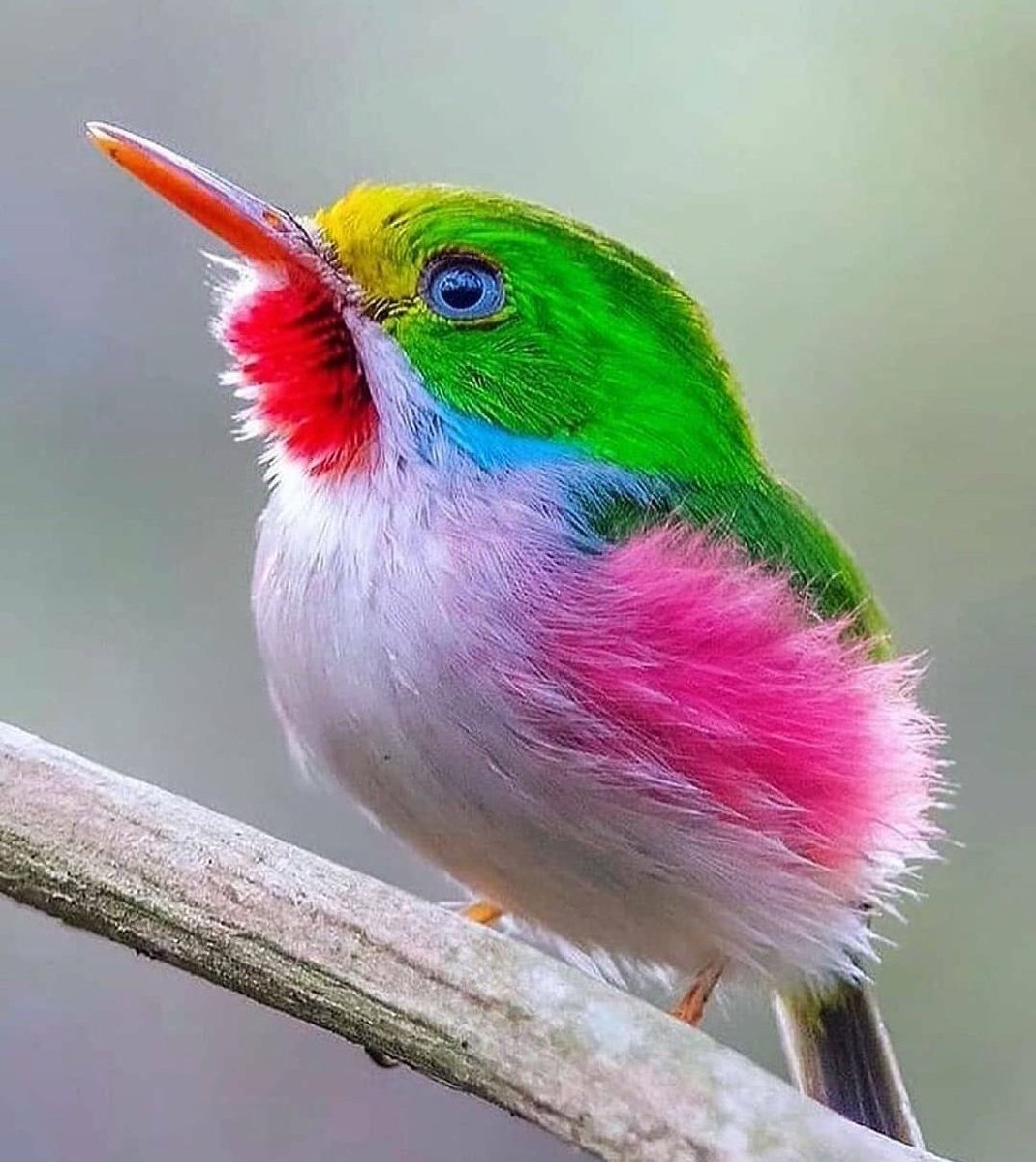 The Nature (@deepsoulnature) on Twitter photo 