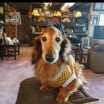 ツイートに含まれる画像