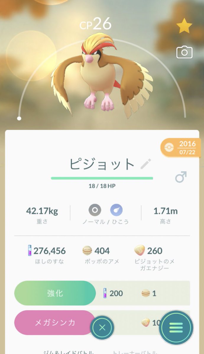 ポケモンgo ピジョット 弱点