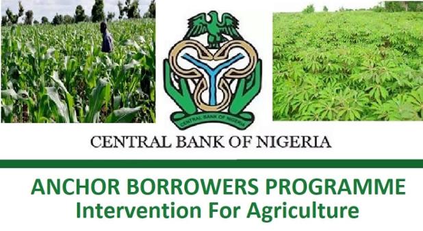 THEWILLNG's tweet photo. Anchor Borrowers’ Programme: CBN Moves to Avert 2m Job Losses   https://t.co/a5TK3uTGn0 https://t.co/mTDTXdgo95