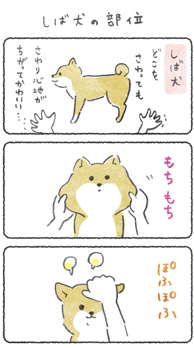 みんなはどの犬種の、どこの触り心地が好き?
私は柴犬の、ここが好き?
#豆しばこつぶ 