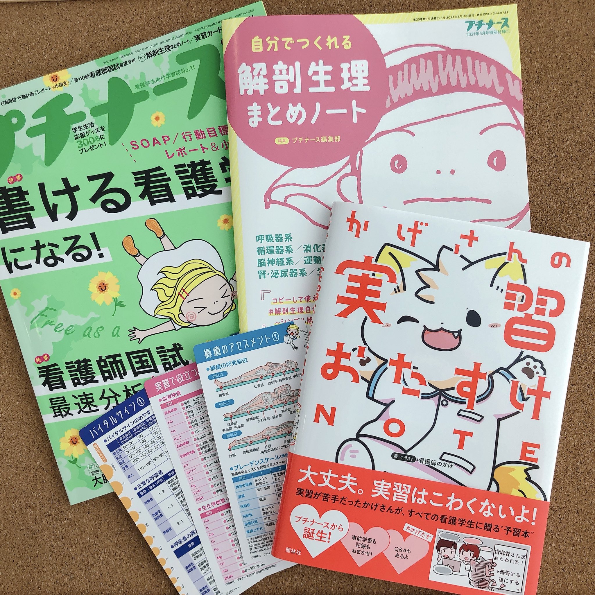 プチナース編集部 フォロー Rtしてね 毎月1冊おすすめの書籍があたるキャンペーンを実施 中 今月は大人気 かげさんの実習おたすけノート です プチナースのアカウントをフォロー このツイートを公式rtして ご応募いただけます 次のツイート2