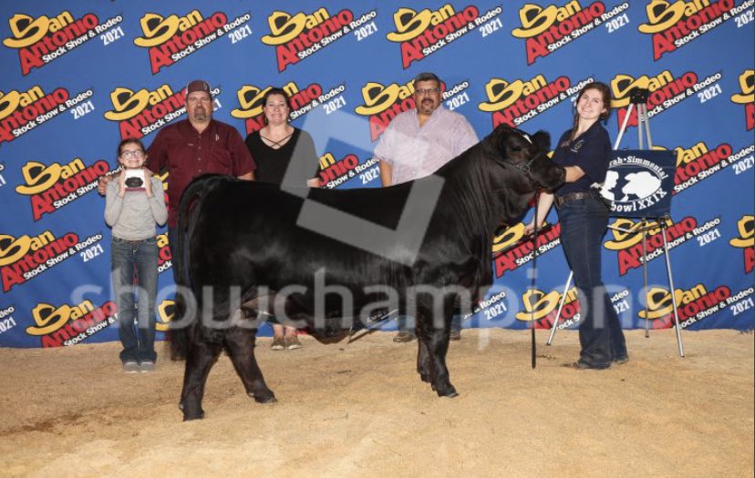 lorelaihll's tweet photo. BLCO Doja Sails
Sire: SMITH RFI Black Sails
Dam: LMC SSC Nina
San Antonio Jr- 1st 
Super Bowl- Reserve Senior Calf https://t.co/XW6xYd7tat