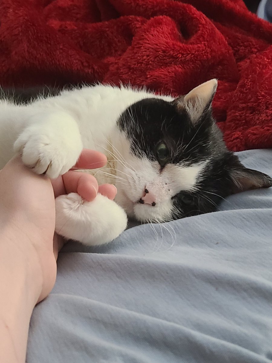 tiffanylowe tweet media