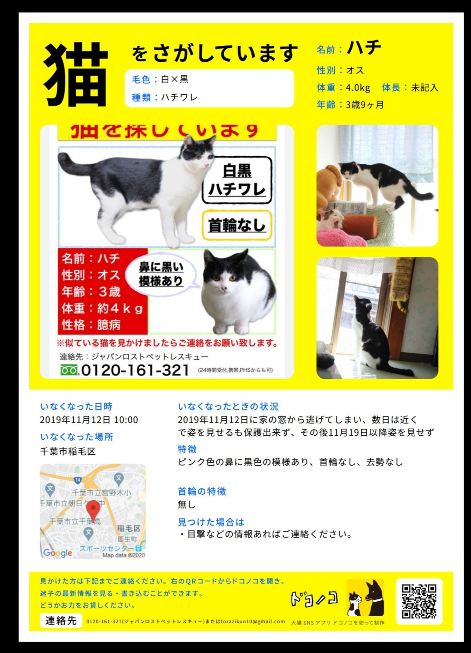 保護活動詐欺 我輩はポンである から猫を救いたい Yde5smb437w4xdf Twitter