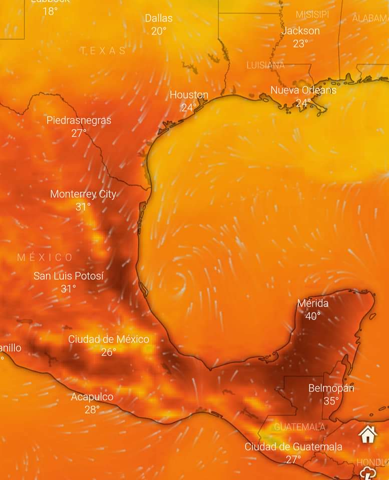 Mrx_Kintsugi's tweet photo. En este momento la Península de Yucatán es el sitio más caliente de la Tierra.

Mérida, Yucatán con 42°C y sensación térmica de 47°C https://t.co/DzE7doqfy5