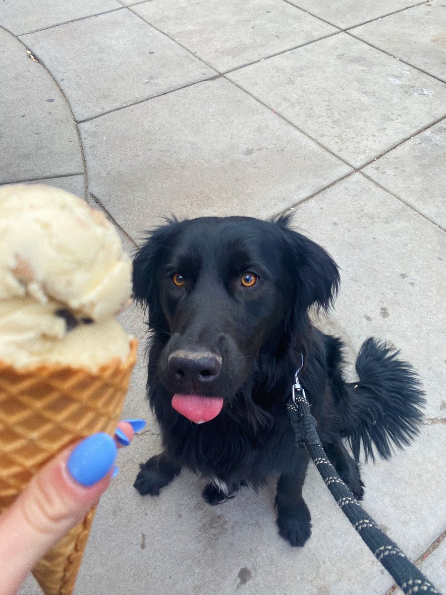 BaKer_24_'s tweet photo. get a man that looks at you the way BabyT looks at ice cream 💘 https://t.co/wyzLnZKgtj