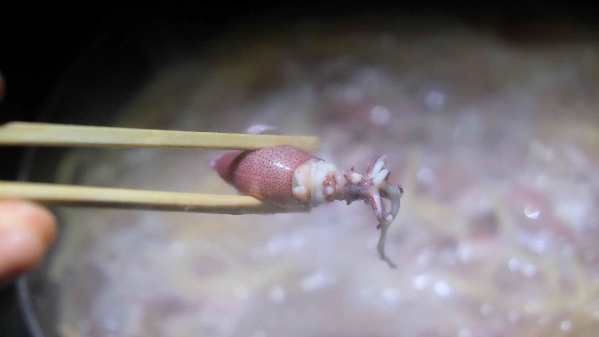 H B 参加者全員分の沖漬けを作る為に帰宅即処理をした 300匹を超えたあたりからゲシュタルト崩壊してきてホタルイカが ホタルイカに見えなくなってきた T Co M58majrukj Twitter