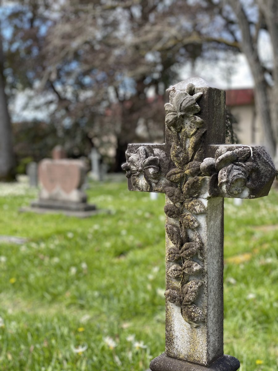 LorneDaniel's tweet image. Wildflowers, St Mary the Virgin churchyard, Metchosin. A lovely Sunday ride on the Goose.
#yyjbike #wildflowers #springride