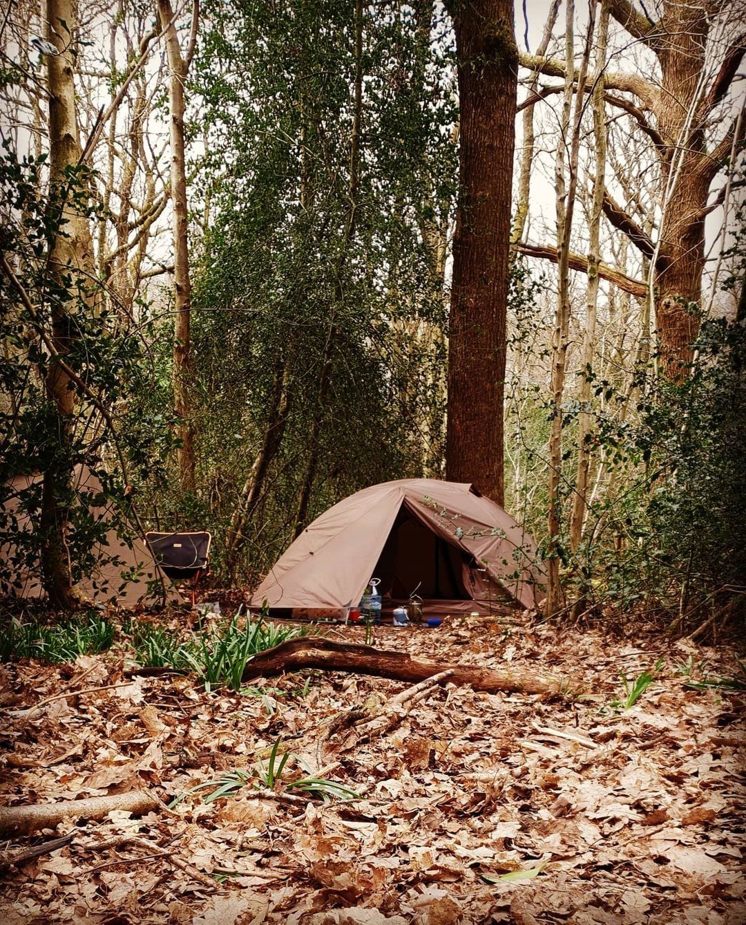 OneTigris on X: The everyday camping dome tent that many outdoor lovers  have been waiting for, featuring the most straightforward setup method.  ➡️ 📷｜wild_camping_with_ken_the_cat . . #onetigris  #camping #outdoors #bushcraft