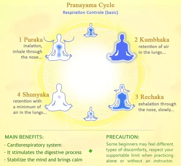 Kumbhaka: Breath retention either on inhale (puraka/antar) or on exhale (rechaka/bahir). Promotes healing, deep meditation, builds CO₂ tolerance (when held on exhale).