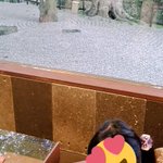 かりんママのツイート画像