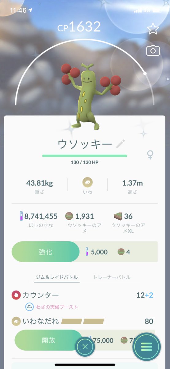 ウソッキー 色違い ソード ウソッキー 色違い ソード