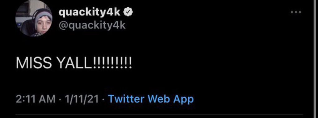 ~quackity~ 1/4• quackity always makes it clear how much he appreciates the donations/subs. he has his own “thank you voice” for whenever he gets a sub/dono. he interacts with chat SO MUCH, making inside jokes with us, ect :)