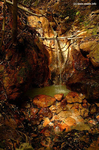 This mountain was formed through a Pelean eruption (similar to Mt Pèlee in 1902). It is home to sites such as the Soufrière Sulfur Springs and the Hot Springs by the beach. Three post-caldera lava domes were formed north of a large arcuate depression roughly 39,000 years ago