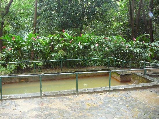 This mountain was formed through a Pelean eruption (similar to Mt Pèlee in 1902). It is home to sites such as the Soufrière Sulfur Springs and the Hot Springs by the beach. Three post-caldera lava domes were formed north of a large arcuate depression roughly 39,000 years ago