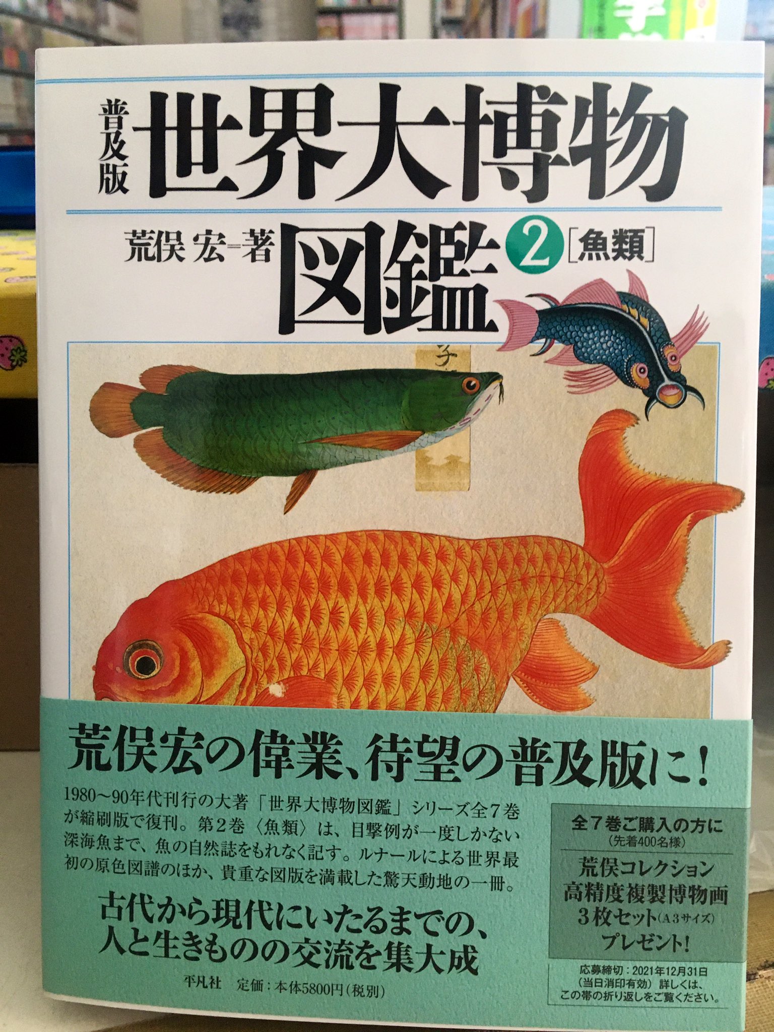 世界大博物 魚類図鑑 2 魚類 世界大博物図鑑2／荒俣宏