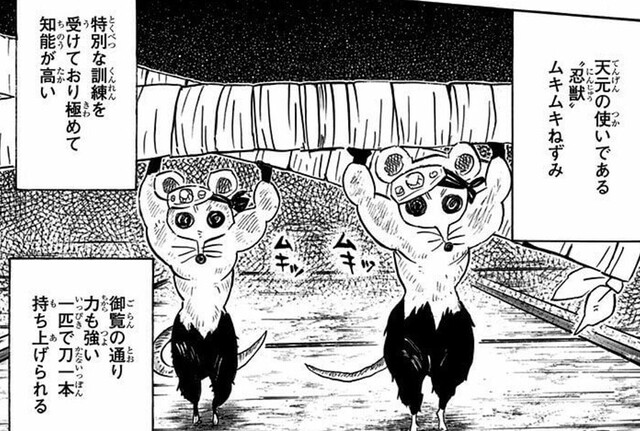 忍者と極道』ねずみは特に理由なく力持ちでも構わないの「ムキムキ