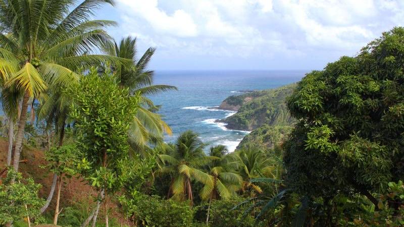 As beautiful as she is Dominica was one of the last islands to form in the Caribbean. Her mountainous terrain also ensured she was one of the last to be colonized and aided the Neg Mawons in their fight for freedom