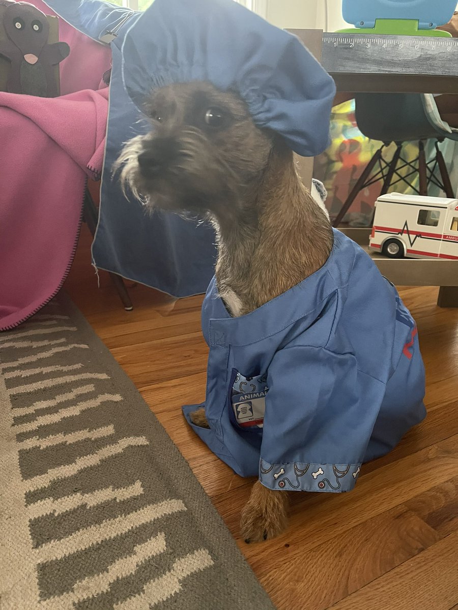 It’s been a weird weekend #BTPosse. Bring on Monday please.