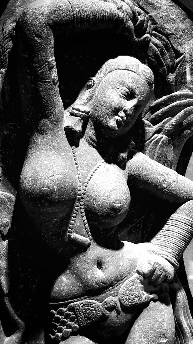 Some of the most beautiful of the Mathura yakshis, the Salabhanjikas, show Ashoka trees bursting into fruit and blossom at their touch “thus symbolizing the transfer  of the woman’s fertile energy to the tree.”