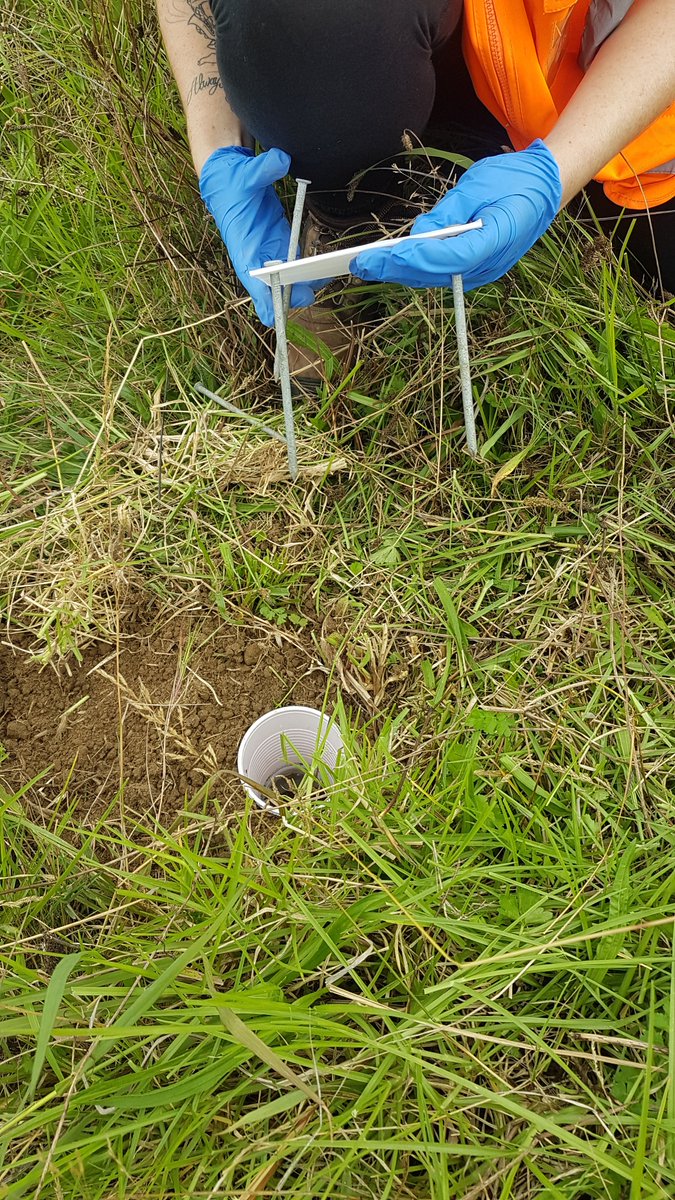 AUT_Living_Labs tweet media