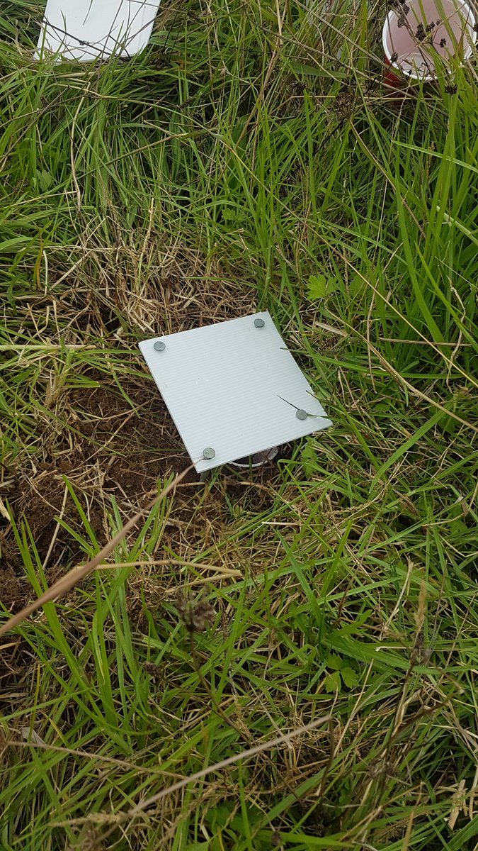 AUT_Living_Labs tweet media