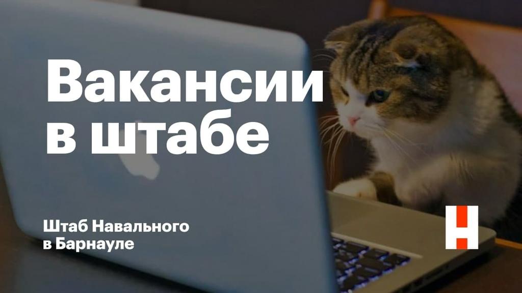 Хотите стать частью нашей команды? Мы ищем сотрудников!

Нам требуются SMM-менеджер и оператор-монтажёр. Все подробности в посте: t.me/navalny_barnau…

Присоединяйтесь к нам в борьбе за прекрасную Россию будущего 😉