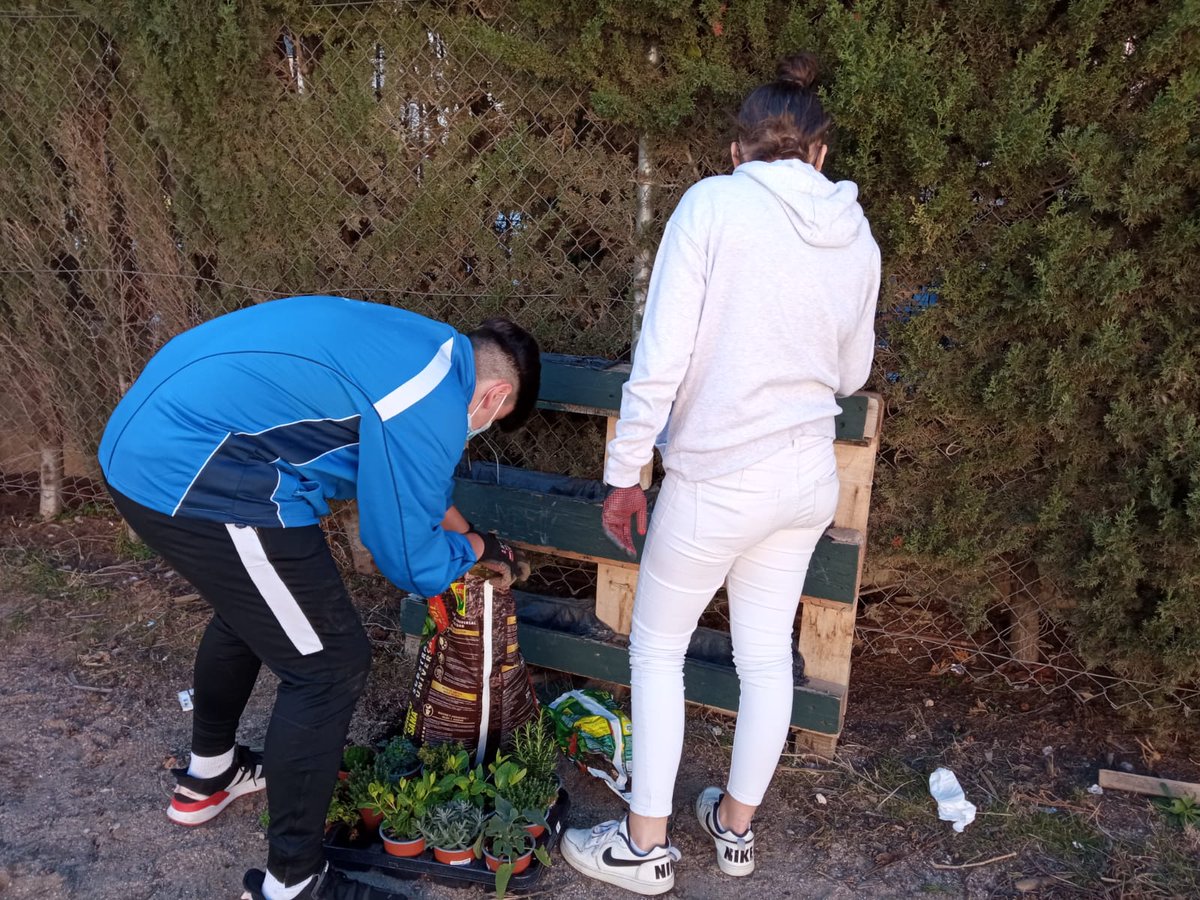 SaviReus's tweet photo. Us ensenyem l'evolució de l'hort
El grup de 3r d’ESO que està treballant amb l’hort ha dissenyat el tancat de l’espai amb la col·laboració del Departament de Tecnologia. A més a més, ha plantat plantes aromàtiques i està tot preparat per plantar diferents verdures i hortalisses. https://t.co/2yVSxeUnwM