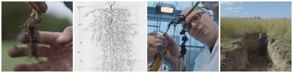 Nicht verpassen! 15.04. 20:15 Uhr auf <a href="/3sat/">3sat</a>
Brandneue Doku von Christina Gantner + Stefanie Fleischmann über die geheime Welt der Wurzeln - mailchi.mp/d3399f582200/w…
#dokumentation #wurzeln #3sat #primetime #yeah