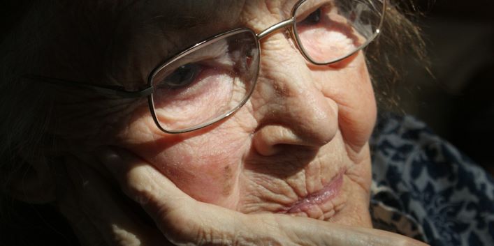 De congreskalender tweet media