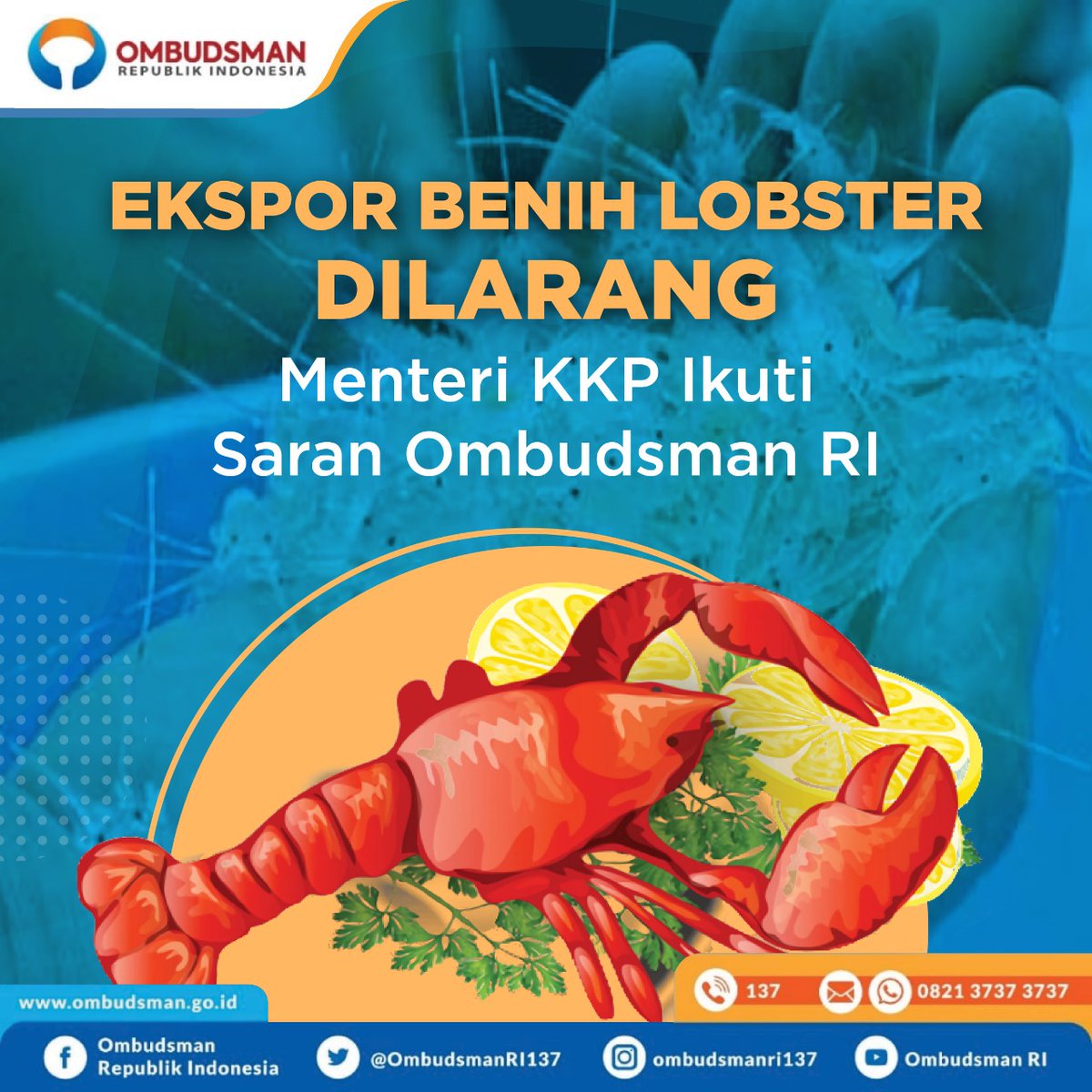 OmbudsmanRI137's tweet photo. Ekspor Benih Lobster Dilarang: Menteri KKP Ikuti Saran Ombudsman RI

#OmbudsmanRI #AwasiTegurLaporkan #KajianOmbudsman #InvestigasiOmbudsman https://t.co/175erqAhVi