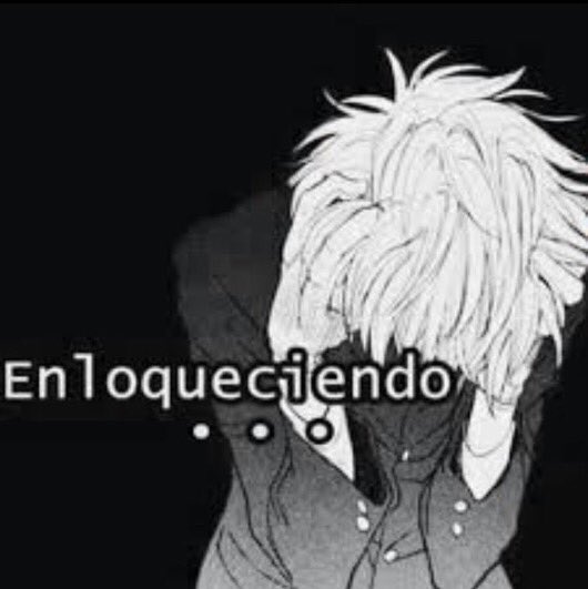 q bronca las proshippers estoy x salir a las piñas