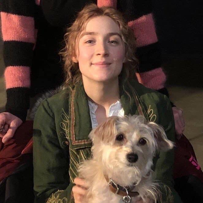 Happy birthday to the four times oscar nominee, saoirse ronan. ily thank u for your art 