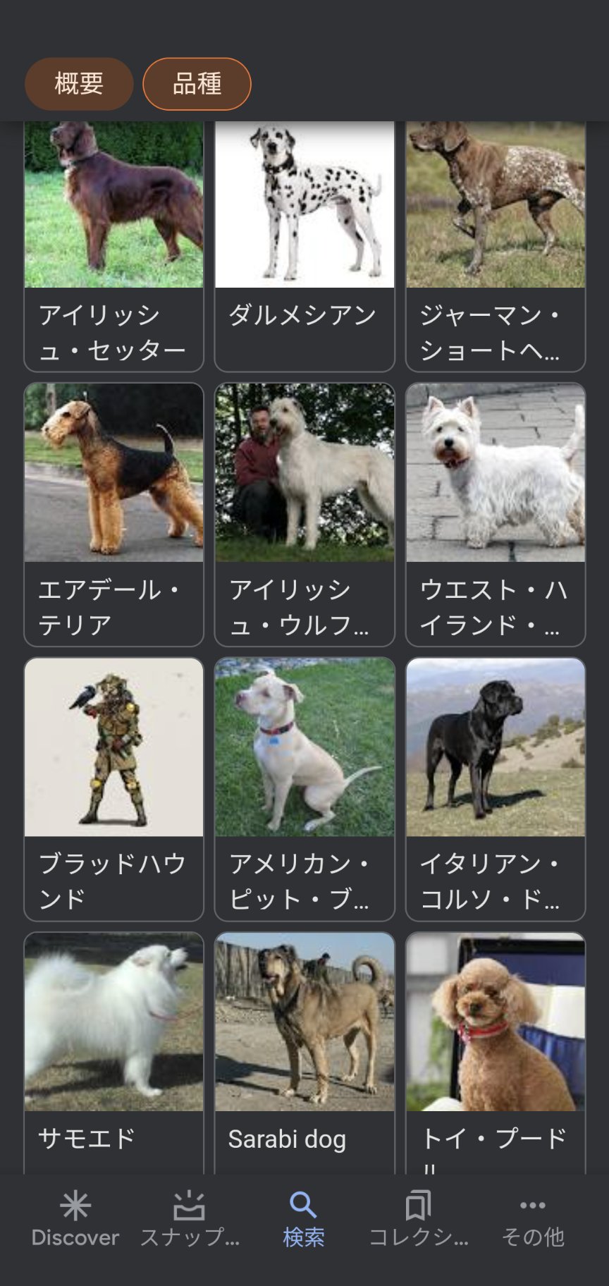 Vtuber 綺羅姉 犬種調べてたらなんか混ざってるんだけどw Apexledgends Apex エーペ ブラットハウンド T Co Wdkeqkfehm Twitter
