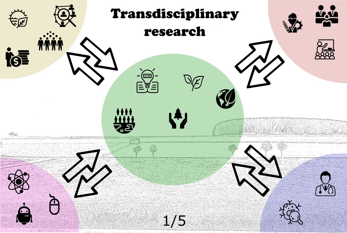𝐓𝐡𝐞 𝐰𝐨𝐧𝐝𝐞𝐫𝐬 𝐨𝐟 𝐭𝐫𝐚𝐧𝐬𝐝𝐢𝐬𝐜𝐢𝐩𝐥𝐢𝐧𝐚𝐫𝐲 𝐫𝐞𝐬𝐞𝐚𝐫𝐜𝐡Over the next 14 days, we want to get to the bottom of transdisciplinary research. What transdisciplinary research is, why it is so relevant today, what are its obstacles. [1/22]