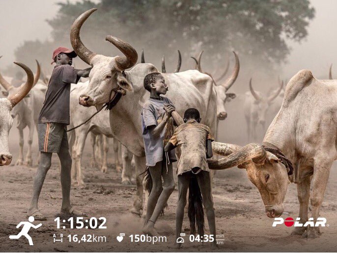 TebangNtsasa's tweet photo. Running | βRunning is real and relatively simpleβ¦but it ainβt easy.β Mark Will-Weber.
Running is hard and difficult at the same time. Will try again another day.
β½οΈ by @best4healthcare
Commitment. Consistency. Speed.
#ReasonIRun #RaceFuel #Best4Sports #RunBetter https://t.co/GgsXWnn3Tu