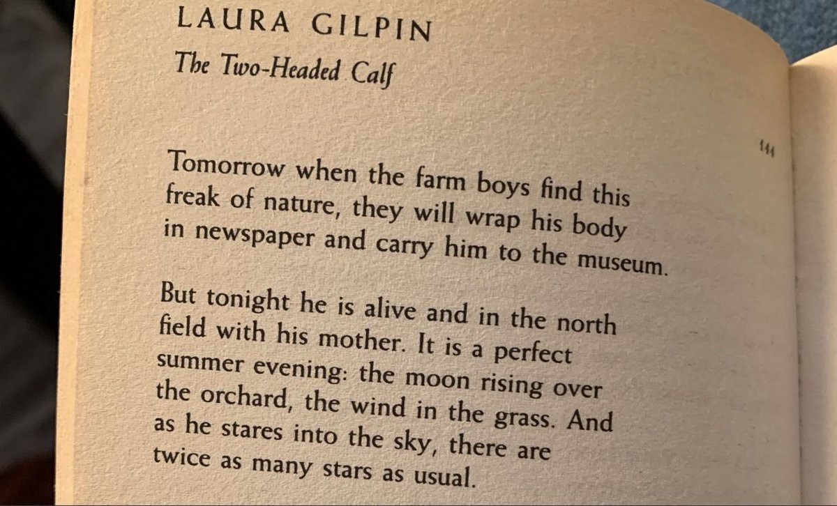 I want to get a two headed calf in reference to this poem that rips my heart out of my fucking chest every time I read itI vote  #Louies for  #BestFanArmy at the  #iHeartAwards