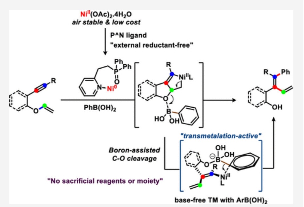 Naeem_384's tweet photo. Finally available online @ACSCatalysis. This work might help to solve some Nickel catalysis issues.
"Synergistic Effects of Boron and Oxygen Interaction Enabling Nickel-Catalyzed Exogenous Base-Free Stereoselective Arylvinylation of Alkynes"
https://t.co/26eHfgvbOa https://t.co/oLu1zV4UoT