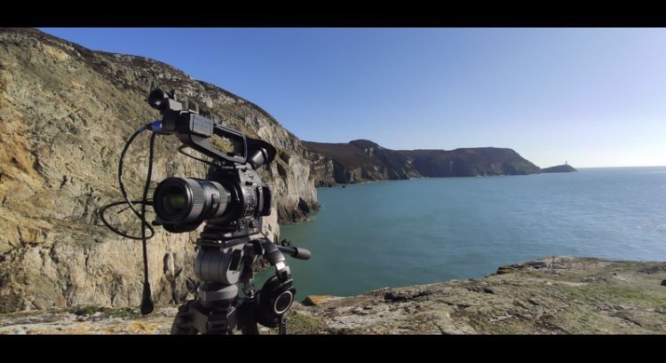 TeliMôn tweet media