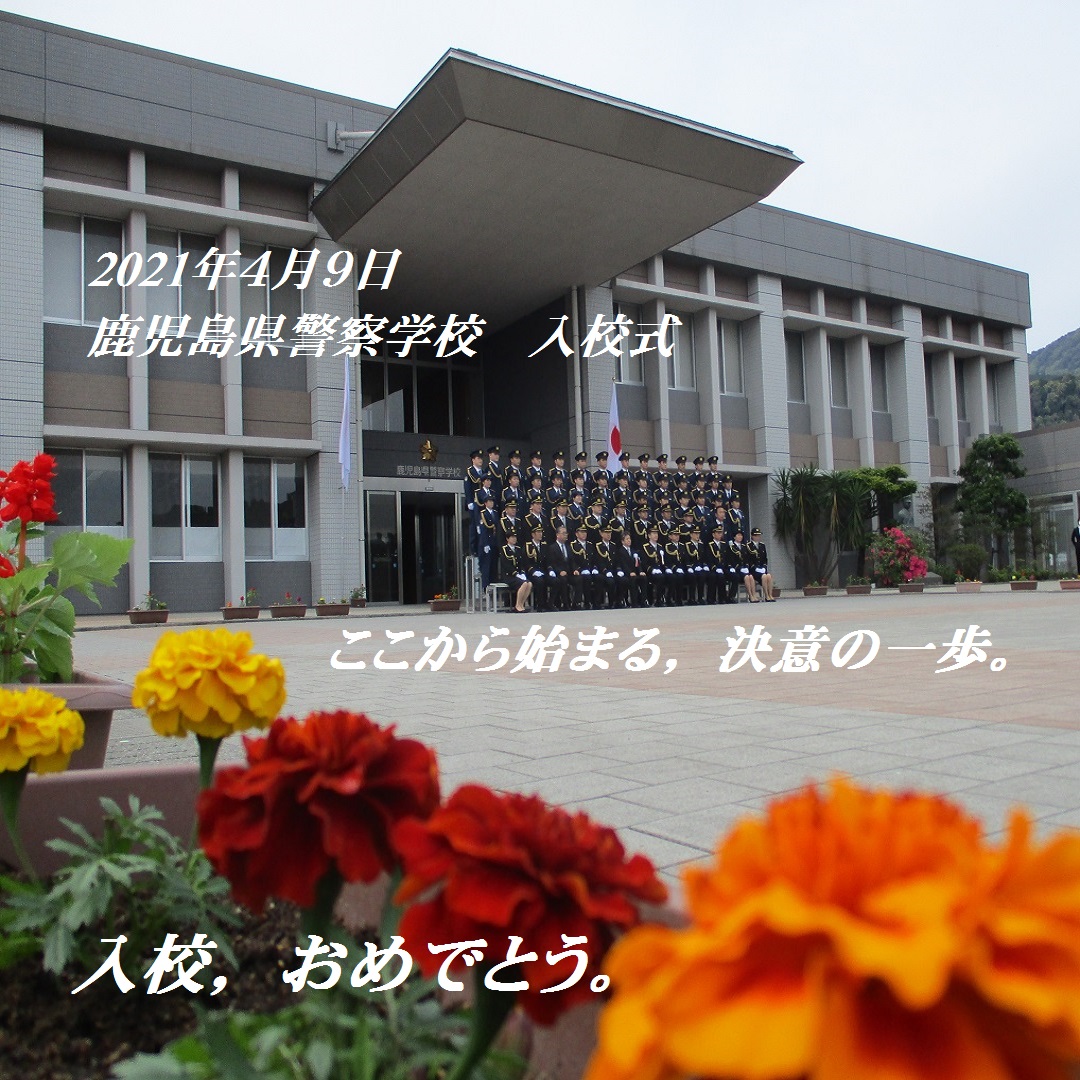 鹿児島県警察本部採用係 警察学校入校式 4月9日 警察学校の入校式の様子を採用係も見に行きました 式典の際 全員揃った敬礼 辞令交付を受け 元気のよい返事 やはり かっこよかったです 鹿児島を守る決意を胸に 同期生と絆を深め 鹿児島県警察本部採用係 警察学校入校式 4月9日 警察学校の入校式の様子を採用係も見に行きました 式典の際 全員揃った敬礼 辞令交付を受け 元気のよい返事 やはり かっこよかったです 鹿児島を守る決意を胸に 同期生と絆を深め