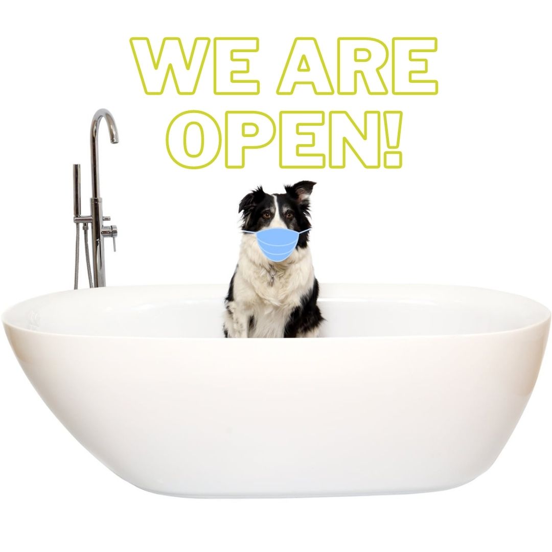 🎉 WE’RE BACK! 🎉

Both of our showrooms are #open and we couldn’t be happier! 

We've worked hard to ensure that we are Covid-safe for all of our lovely customers - all you need to bring is a mask, like Minnie here 😷 

We look forward to seeing you in-store!

#MondayMotivation