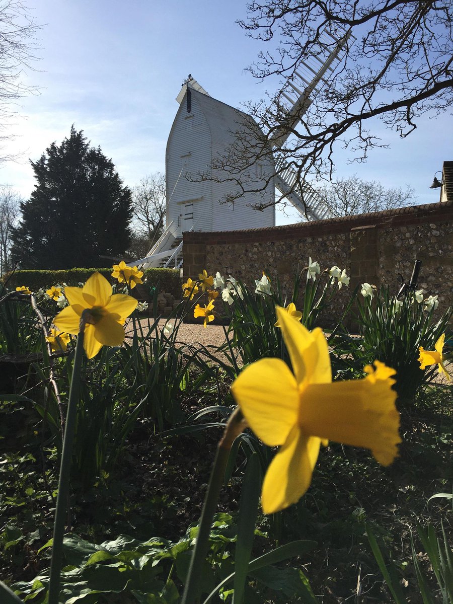 BHSupportGrp's tweet photo. NEW ENTRIES into our online easter competiton which closes saturday - details on pinned post #burgesshill #sussex https://t.co/vt8HzTOqzl