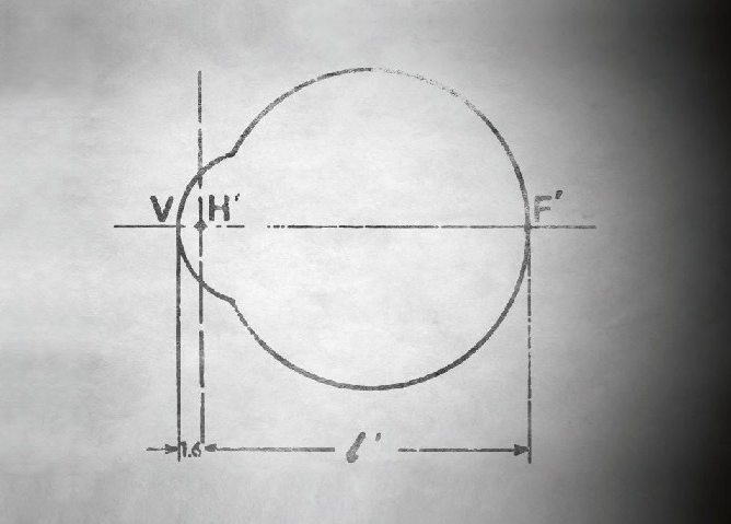 Claudine Ickeringill tweet media