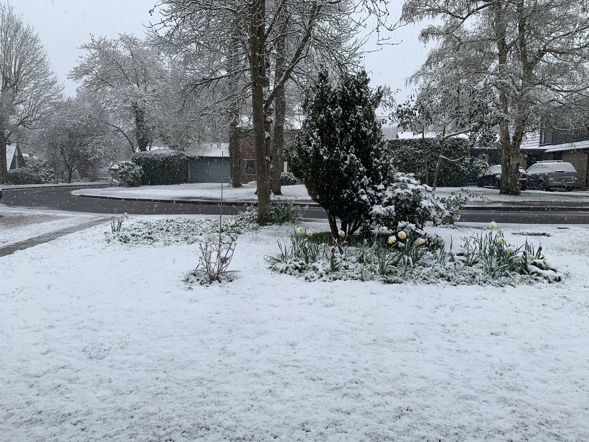 The BBC weather forecast is saying ⛅️ ....... the weather is actually like ❄️☃️ ........ and I am thinking 🤔