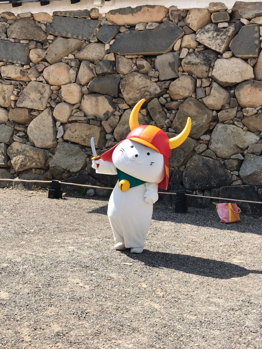 本日も #彦根 は快晴でとっても暖かったでござる☀️ #ひこにゃん 殿