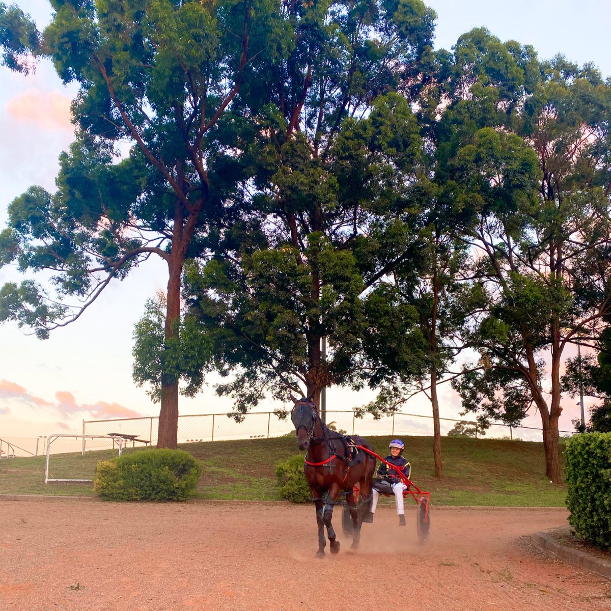 Bankstown Paceway (@bankstownpace) on Twitter photo BETTOR SENSATION NZ in the parade ring prior to his second place in the final event last week.
📍Bankstown’s next race meeting: Monday April 26.
<a href="/kezzamc14/">Kerry McDowell</a> <a href="/EllenRixon/">ellen rixon</a> <a href="/Allied_Express/">Allied Express</a> BETTOR SENSATION NZ in the parade ring prior to his second place in the final event last week.
📍Bankstown’s next race meeting: Monday April 26.
<a href="/kezzamc14/">Kerry McDowell</a> <a href="/EllenRixon/">ellen rixon</a> <a href="/Allied_Express/">Allied Express</a>