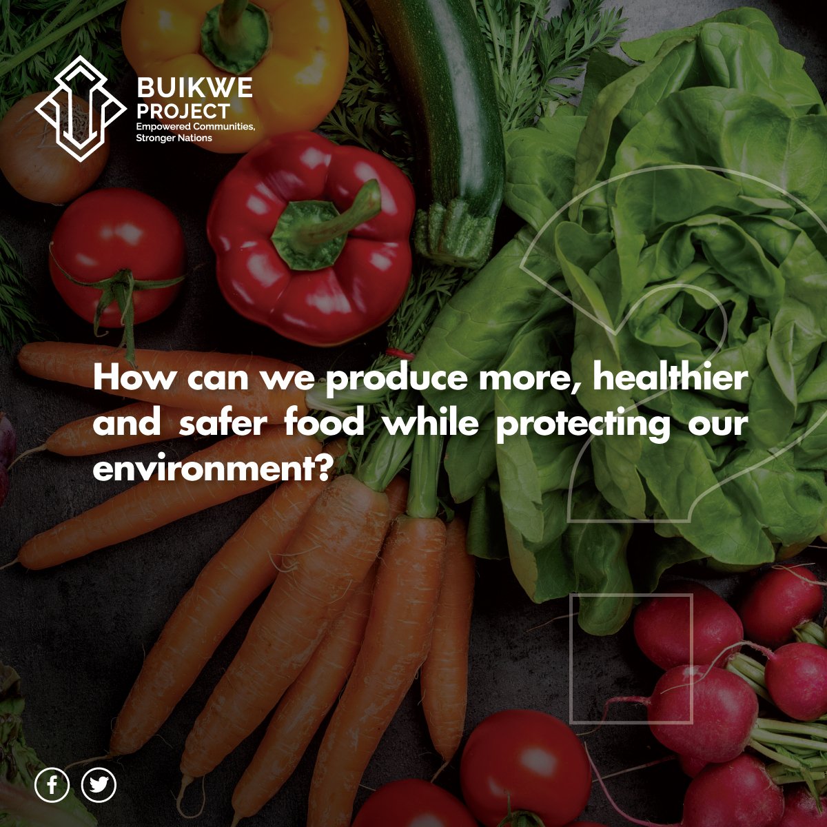 Soil depends on the presence of vast community of living organisms to remain healthy and fertile.

These organisms make up soil diversity. But we are losing this diversity at an alarming rate.

#BuikweProject
#SmartFarming