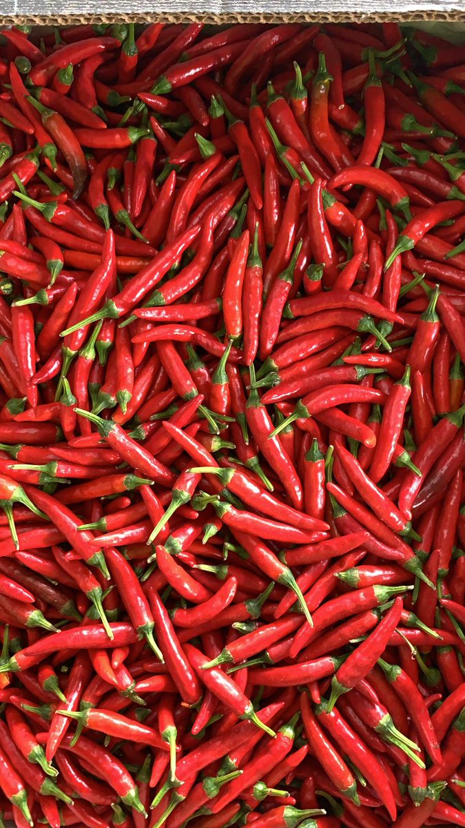 NaturaFirst's tweet photo. Red Chillies🌶️, Green Jalapeño✅, Red Habanero and Raawit are now with us🚚! Place your order 📞🗒️and let us know what´s your spiciness level🥵! #NicolasGarden #Chillicious https://t.co/8xU2yX7eze