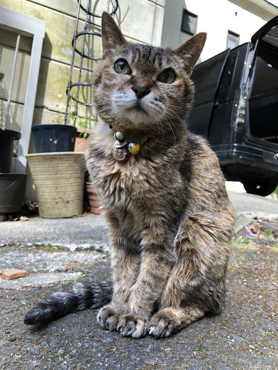 おきな旅館 Okina Ryokan Twitter
